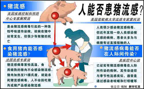 豬流感來了，豬肉還能不能吃？