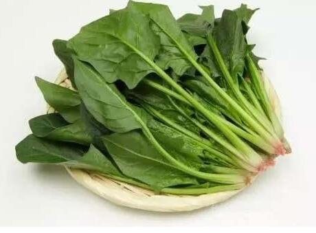 10月份蔬菜價格上漲原因