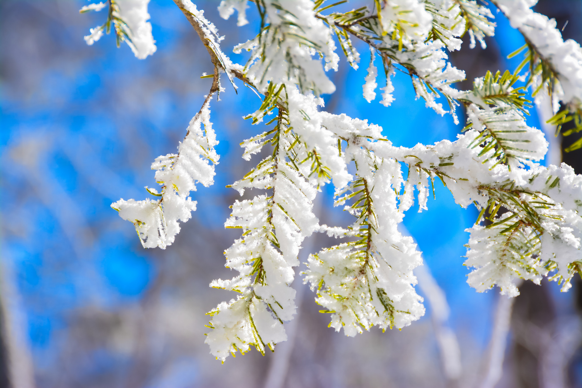 小雪節(jié)氣的由來和風(fēng)俗